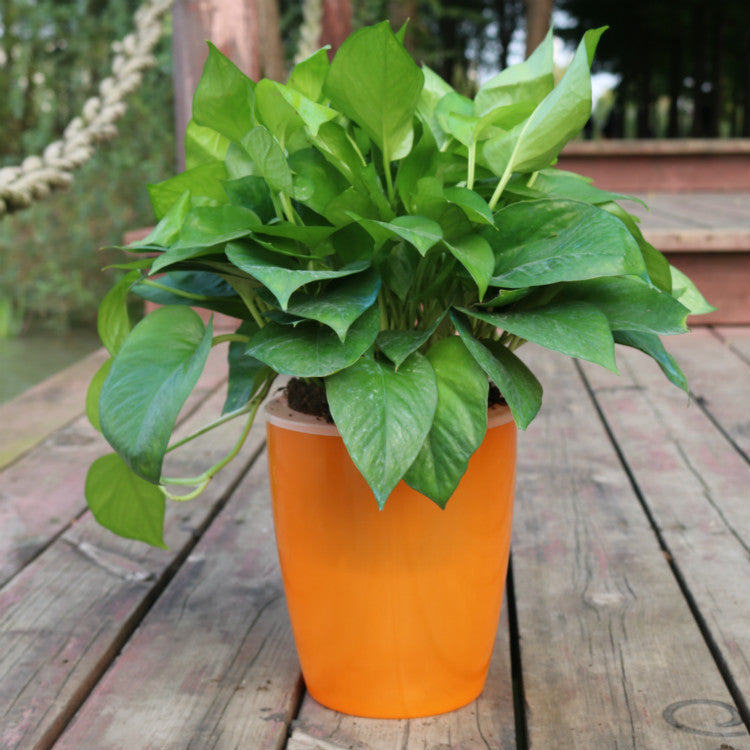 Orluxia Strongwell Nordic Hydroponics Flower Pot