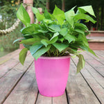Orluxia Strongwell Nordic Hydroponics Flower Pot