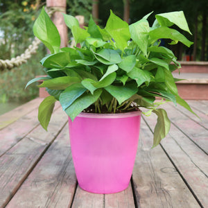 Orluxia Strongwell Nordic Hydroponics Flower Pot