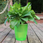 Orluxia Strongwell Nordic Hydroponics Flower Pot
