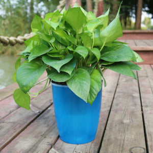 Orluxia Strongwell Nordic Hydroponics Flower Pot