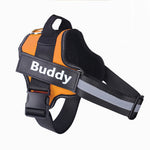 Orluxia Personalized Dog Harness – No Pull Reflective Adjustable Vest with Custom Patch for Small & Large Dogs