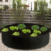 Orluxia Fabric Grow Bags