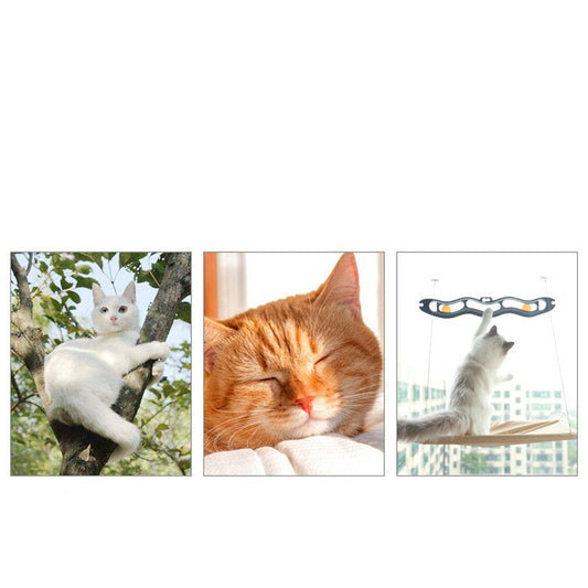 Orluxia Pet Litter Sucker Cat Window Hammock – Hanging Oxford Cloth Cat Bed