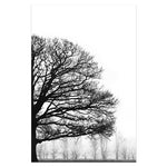 Orluxia Black & White Winter Trees Modern Decorative Canvas Painting