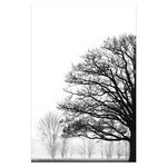 Orluxia Black & White Winter Trees Modern Decorative Canvas Painting