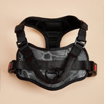 Orluxia No Pull Dog Harness