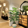 Orluxia Artificial Green Plant Decoration