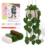 Orluxia Decorative Plant Crochet Hook Material Kit
