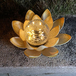 Orluxia Solar Garden Outdoor LED Lawn Light
