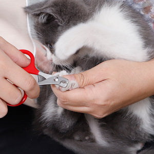 Orluxia Cat & Dog Nail Clippers