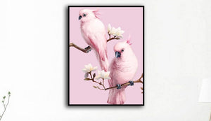 Orluxia Diamond Painting – Round Drill Parrot Design